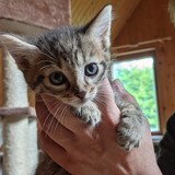 198623570_10220402606558125_8224027941773369213_n