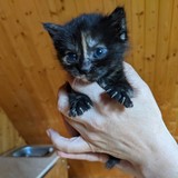 198007520_10220402600437972_8601144182557924274_n