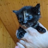 198102042_10220402600677978_6994897506381463446_n