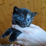 198218112_10220402598997936_1362572050597144192_n