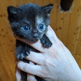 198222707_10220402596237867_6765254983041882089_n