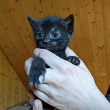 198059365_10220402599597951_4862594463412138334_n