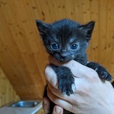 198260985_10220402599877958_4189498652326102510_n