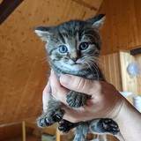 198018405_10220402566157115_8016856363392283301_n