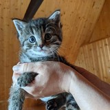 198110406_10220402565597101_5314760273035330143_n