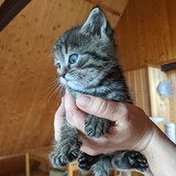 198400085_10220402565917109_7435067641845076151_n