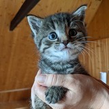 197690297_10220402565277093_3232271887684354657_n