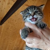 197937294_10220402572717279_4338158833998054003_n