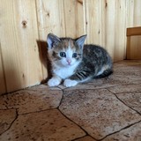 197803498_10220402576757380_1915821754087119525_n