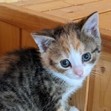 198094869_10220402578437422_8615020135104457089_n