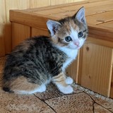 198311070_10220402578797431_3632367413951812813_n