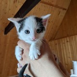 198038515_10220402575757355_8358840860847381341_n