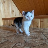 198192566_10220402577237392_7453600265546839831_n