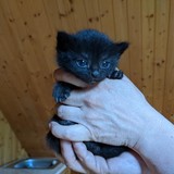 198102046_10220402602038012_7478697259820476776_n