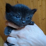 198289215_10220402601638002_8327497399817175487_n