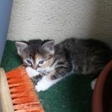 197444335_3399123793457400_5096739480689409963_n