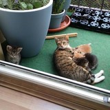 71ac0HUkiOL._AC_SL1500_