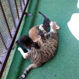 201494425_3417737411596038_1251299882753405430_n