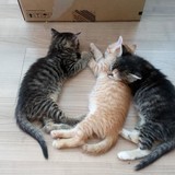 201494587_3417737321596047_4303847677144521225_n