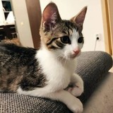 240792833_10220817834858573_235826443285252838_n