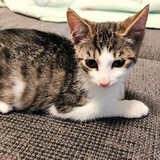 240797936_10220817835258583_3954374712467259252_n