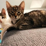 240812360_10220817833938550_4741084792184096161_n (1)