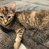 240794451_10220817835738595_3540178968733189482_n