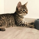 240794463_10220817833218532_8908740613480275741_n