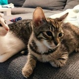 240800978_10220817834378561_4750982134579550879_n