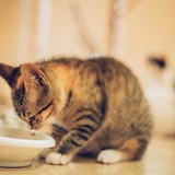 240736294_10220817637213632_1602703617992340750_n