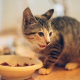 240785422_10220817636693619_6933010905458680984_n