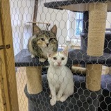 240837698_10220822563736792_3201146992975452185_n