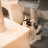 240774079_10220817647013877_7431488628197515305_n