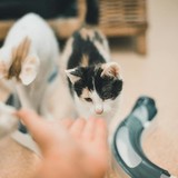 240786226_10220817645453838_2918222127894065448_n