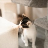 240800969_10220817648373911_5210975824029781097_n