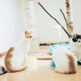 240820025_10220817637773646_1939784133776167341_n