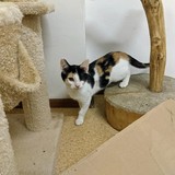 240825358_10220822565896846_860228394791071640_n