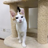 240789144_10220822565416834_332318040835105480_n