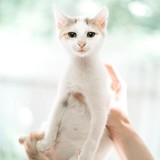 240800099_10220817657654143_3799828047609997688_n