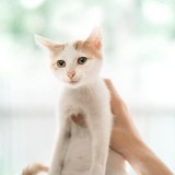 240800793_10220817656574116_4538672427184896693_n