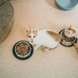 240800824_10220817651253983_759765235442950103_n