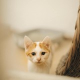 240822478_10220817644293809_5379571839491468240_n