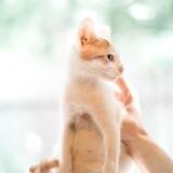 240822776_10220817657014127_1092457212320093153_n