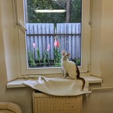 240829467_10220822564096801_8242560565982444762_n