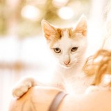 240667212_10220817662174256_5868064866865837062_n