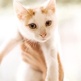 240788299_10220817663734295_6900833822809668351_n