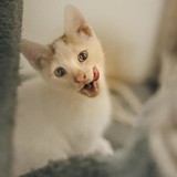 240791463_10220817646053853_7669066220825618833_n