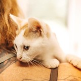 240815514_10220817635973601_3381776776917350595_n