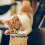 240734521_10220817641533740_6345024665480713812_n