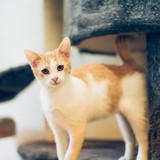 240788434_10220817642013752_5838298417175362320_n